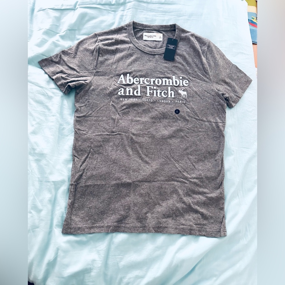 Abercrombie & Fitch Logo Tee -Large (Men's) Grey NEW WITH TAGS